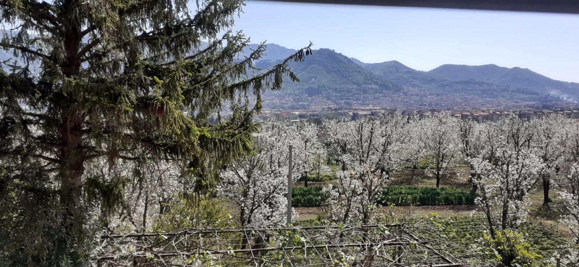 Holiday home Lanovella Cava De' Tirreni